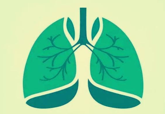 肺结核的治疗 7款食疗方助您一臂之力