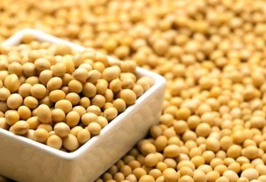 脱发吃什么好 4食疗方脱发困扰不再有