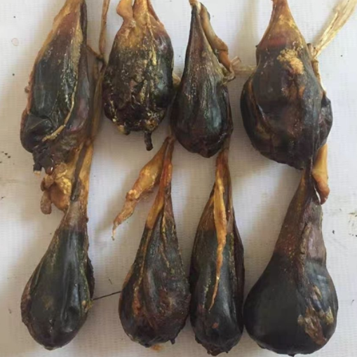 中医治疗多见病 款款单验方是精品