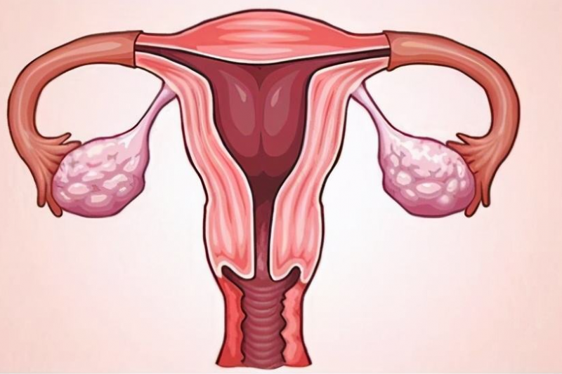 女人不碰这玩意，婀娜又多姿