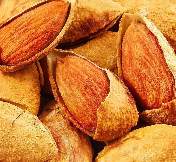 15种食物惊人疗效