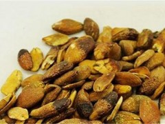 黄皮核的功效与作用