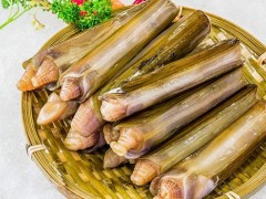 竹蛏的功效与作用