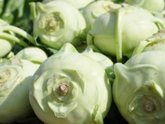 芥菜头的功效与作用