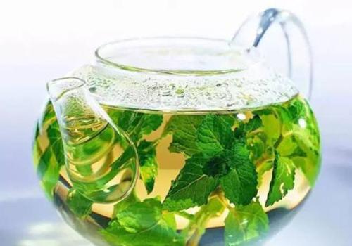 桑叶茶