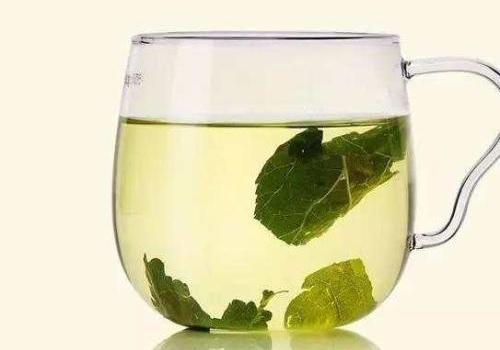 桑叶茶