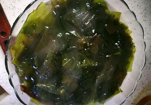 海白菜 海白菜
