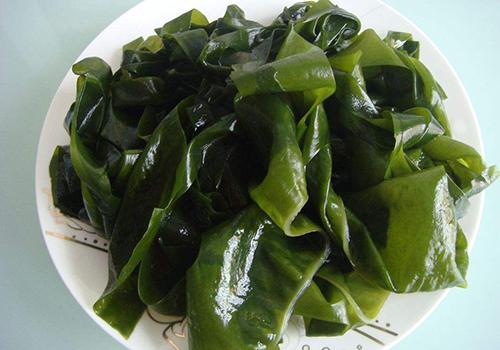海白菜 海白菜