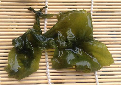 海白菜 海白菜