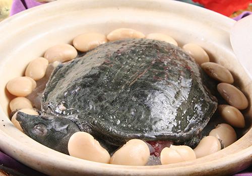 王八