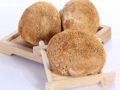 猴头菇煲汤的功效与作用