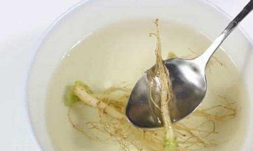 香菜根煮水