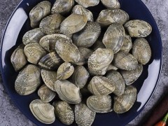 蚬精的功效与作用