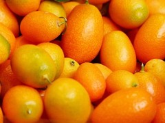 金桔冰糖梨止咳的做法 金桔和梨炖冰糖的功效