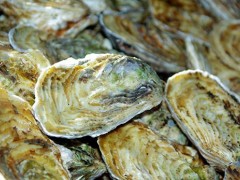 生蚝不打开壳直接蒸多久 蒸生蚝是冷水还是热水