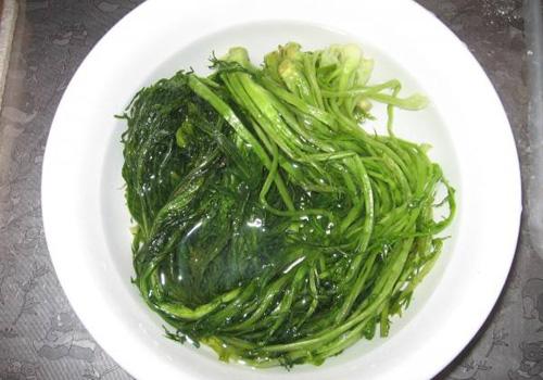 雪里红