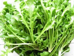 荠菜的功效与作用禁忌 荠菜怎么吃