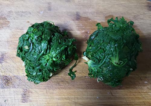 荠菜 荠菜