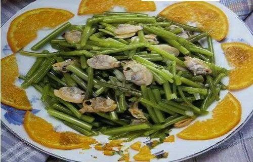 茼蒿 茼蒿