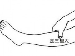足三里的准确位置图女 足三里怎么找