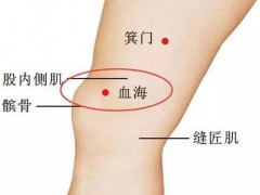血海的准确位置图 血海按摩方法