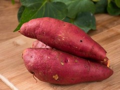 红薯不能和什么同吃 红薯不能和那些食物一起吃