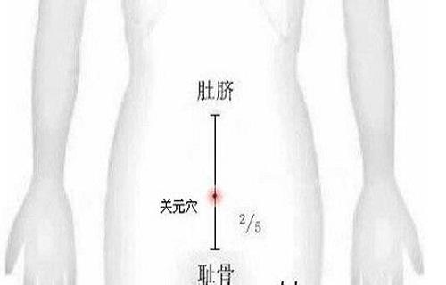 关元 关元