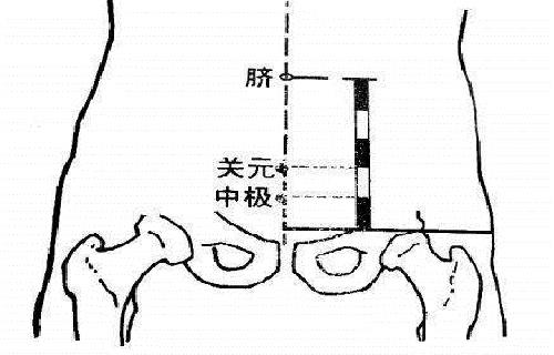 关元 关元