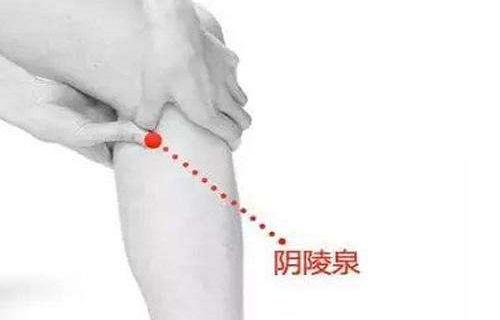 阴陵泉 阴陵泉