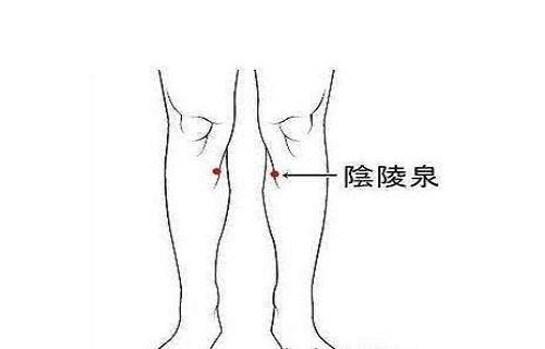 阴陵泉 阴陵泉