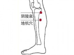阴陵泉的准确位置视频 阴陵泉的定位和主治