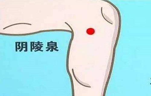 阴陵泉 阴陵泉