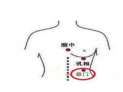 章门的定位怎么取,按摩章门功效与作用