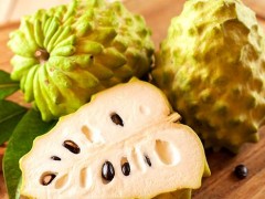 番荔枝怎么吃 番荔枝和释迦的区别