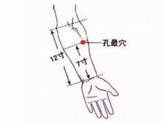 孔最的准确位置图和作用 孔最的位置怎么找