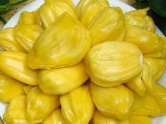 菠萝蜜是凉性还是热性 菠萝蜜吃多了会上火吗