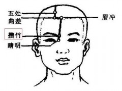 攒竹的准确位置图视频 按摩攒竹的功效