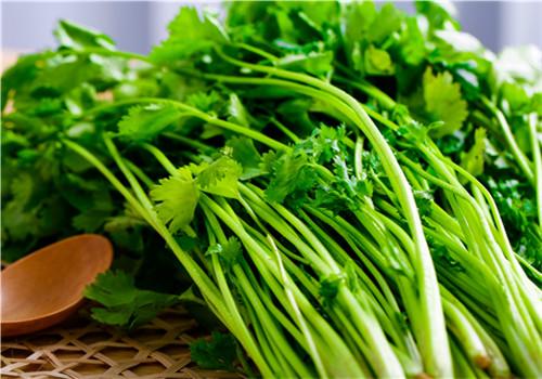 野菜