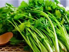 野菜有哪些种类 野菜的品种大全