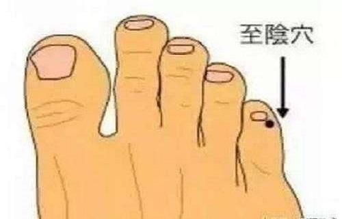 至阴
