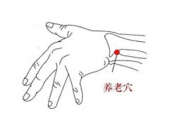 养老的准确位置图视频 养老学位的位置和作用