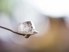 酸梅汤配方8种原料 八味酸梅汤的配料比例