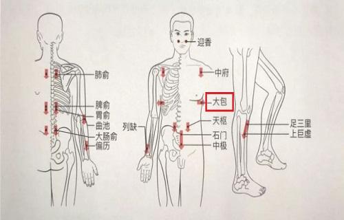 大包的准确位置及功效 怎样按摩大包