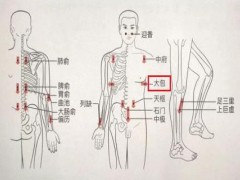 大包的准确位置及功效 怎样按摩大包