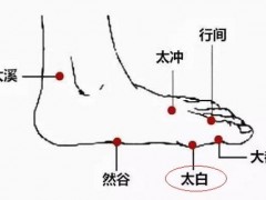 太白的准确位置图 按摩太白的好处