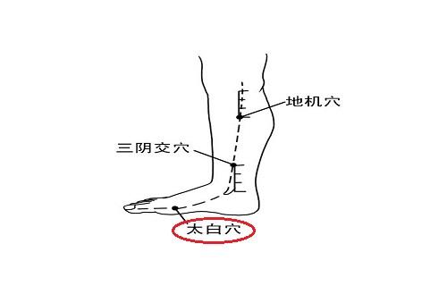 太白的准确位置图 按摩太白的好处