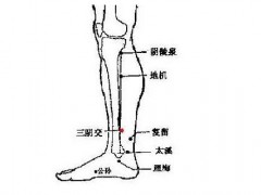 三阴焦位置图怎么按摩 三阴焦的作用与好处