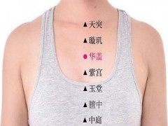 华盖定位和主治 华盖准确位置图片