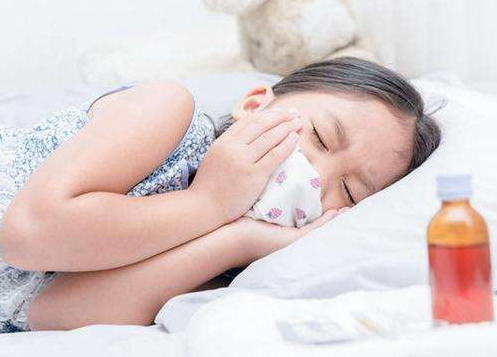 不同体质不同食疗