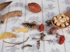沙虫的功效与作用